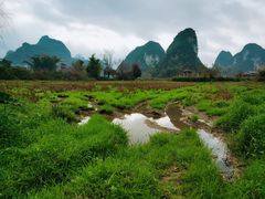 -靖西鹅泉风景区