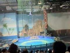 -华夏文旅海洋公园