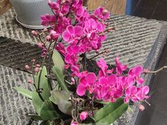 -黔蘑菇四季餐厅(观山湖店)