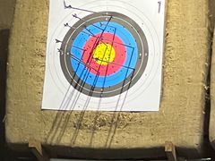 -蓝天射箭馆·专业射箭运动(诚丰广场店)