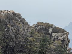 -泰山风景名胜区