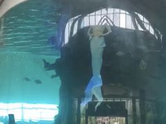 -凤凰轩·尾牙宴·生日宴(十里银滩店)