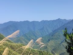 -巴黎贝甜(宜山路店)