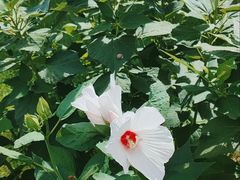 -太阳宫公园