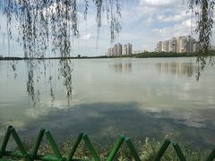 -金银湖国家城市湿地公园