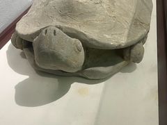 -岳阳市博物馆