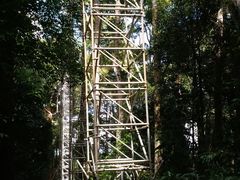 -乌鲁淡布隆国家公园