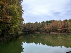 -上海海湾国家森林公园