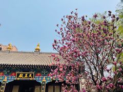 -护国法轮寺