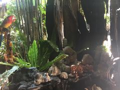 -自然餐厅(Phuket)