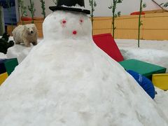 -绍兴启迪乔波冰雪世界