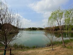 -无锡蠡湖国家湿地公园-蠡园