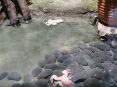 -青青世界