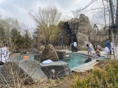 -清河半岛温泉度假酒店