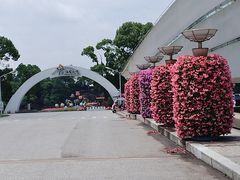 -上海鲜花港