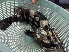 -鑫鸿达·海鲜闽菜热炒小馆(中山路店)