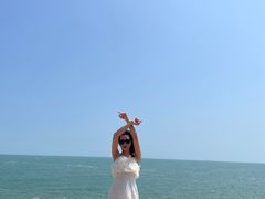 -广东惠东海龟国家级自然保护区