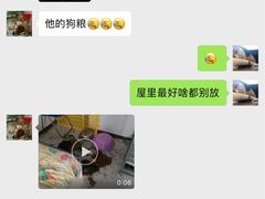 -波姐宠物家庭寄养