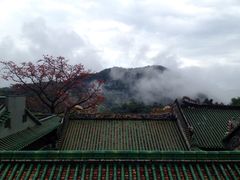 -鼎湖山风景区