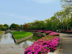 -蠡湖大桥公园