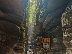 -梭布垭石林景区