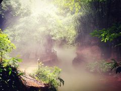 -川西竹海景区