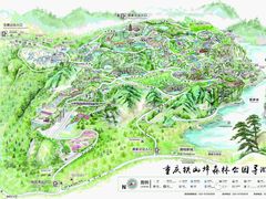-铁山坪森林公园
