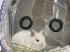 -美美宠物诊疗中心·异宠·骨科(滨江东信分院)
