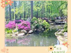 -上海共青森林公园