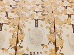 -沪上阿姨·臻选茶饮(上海环球港店)
