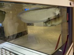 -白玉兰酒店(上海田子坊马当路地铁站店)