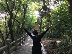 -灵岩山风景区