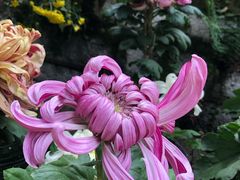 景点-无锡惠山寺