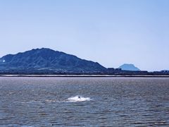 -观澜小洱海