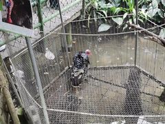 -青青世界