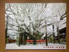 -浮来山风景区