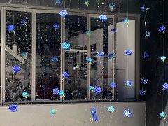 -溪岸路花鸟市场