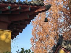 -天佛风景名胜区