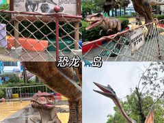 -海合安武汉极地海洋公园