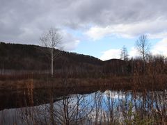 -北极村旅游风景区