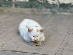 -塔尔寺