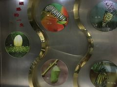 -上海昆虫博物馆
