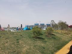 -郑东新区龙湖公共艺术中心