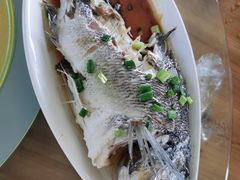 -七鲜渔港美食餐厅(巽寮湾海景店)
