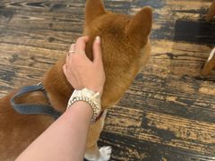 -三目仓咖啡(贤南路店)