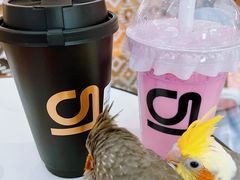 -gleeglee乐溢亦茶(合生汇店)