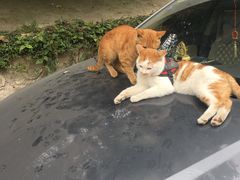 -南湖胖子砂锅(五福街店)
