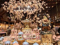 -小樽八音盒堂(手工制作体验馆店)