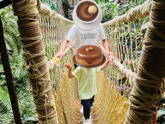-正佳雨林生态植物园