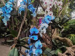 -北京植物园-展览温室